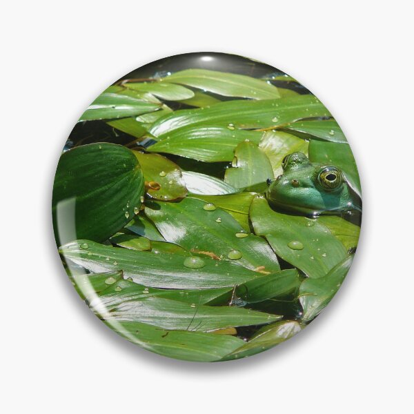 Item preview, Hiding green tree frog designed and sold by rootedrender.