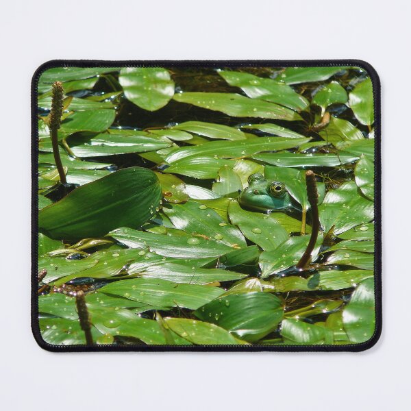 Item preview, Hiding green tree frog designed and sold by rootedrender.