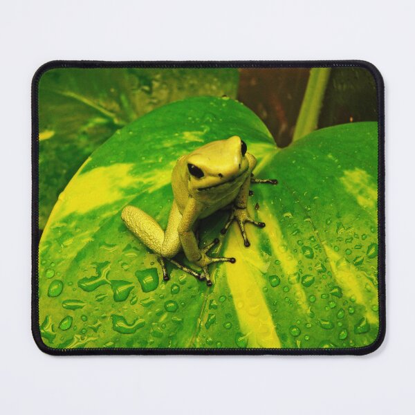 Item preview, Golden poison dart frog designed and sold by rootedrender.