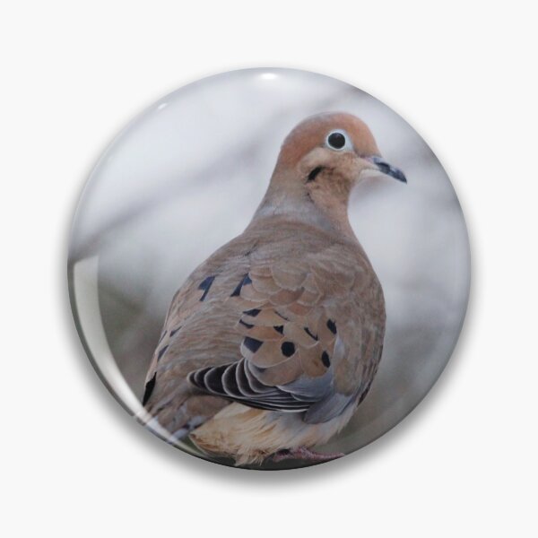 Item preview, Mourning Dove Sitting Pretty designed and sold by Debbie Oppermann.