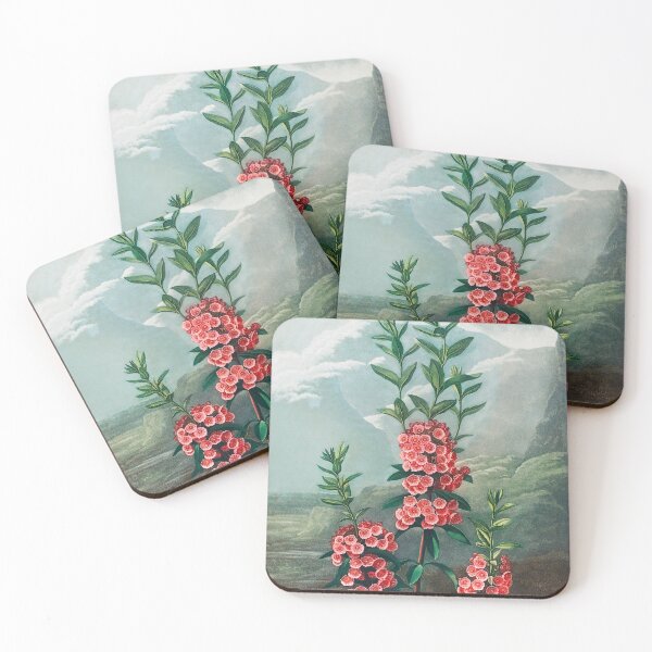 Item preview, Antique Narrow-Leaved Kalmia  designed and sold by jadeandjester.