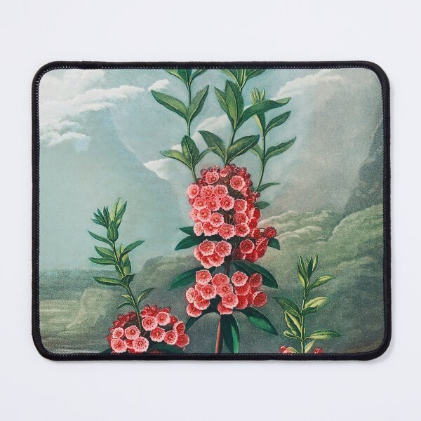 Item preview, Antique Narrow-Leaved Kalmia designed and sold by jadeandjester.