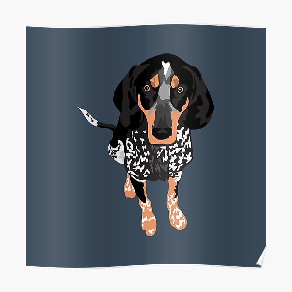Blue Tick Hound Posters | Redbubble
