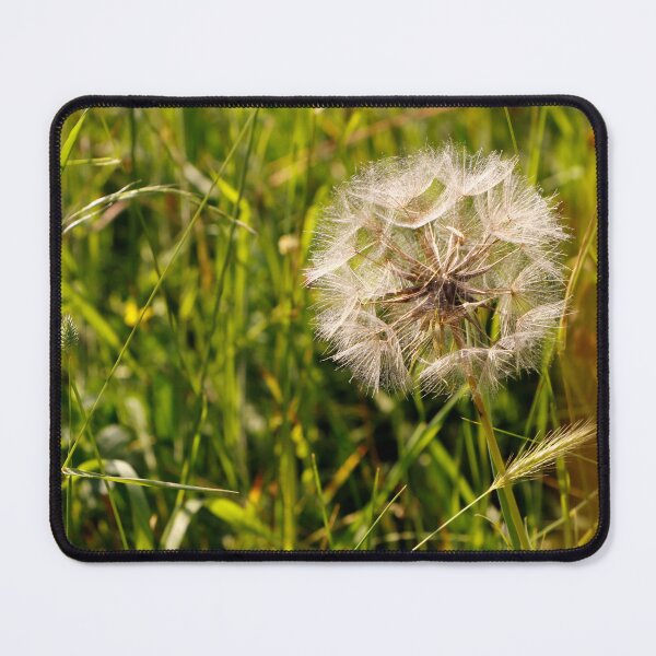 Item preview, Dandelion Seed designed and sold by jwwallace.