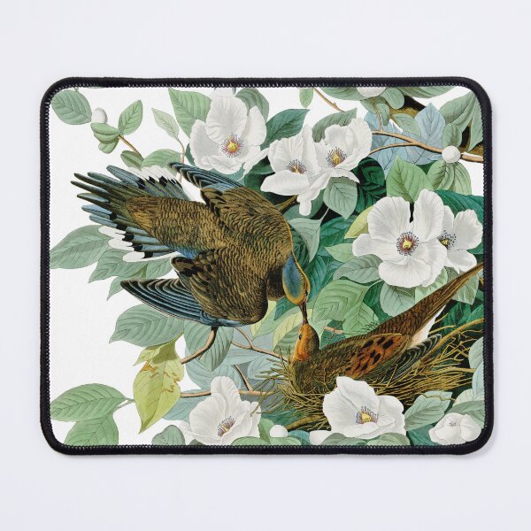 Item preview, Carolina Turtle Dove,  Birds of America by John James Audubon designed and sold by VintageArchive.