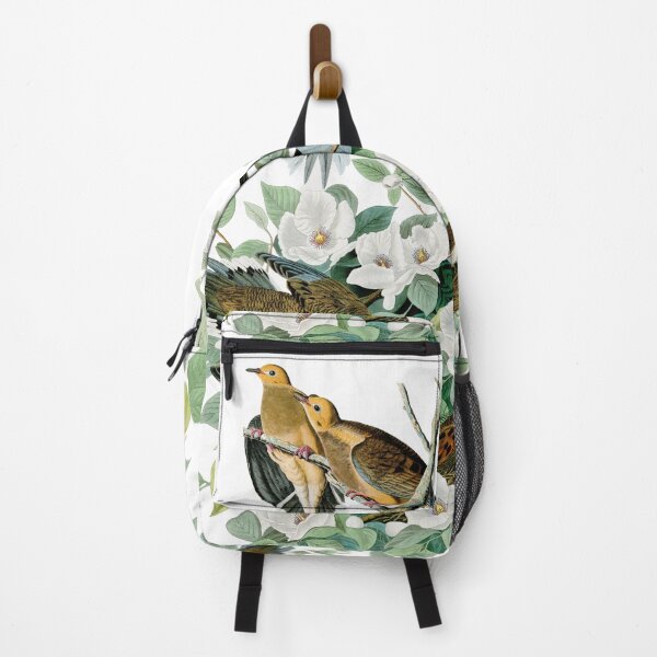 Item preview, Carolina Turtle Dove, Birds of America by John James Audubon designed and sold by VintageArchive.