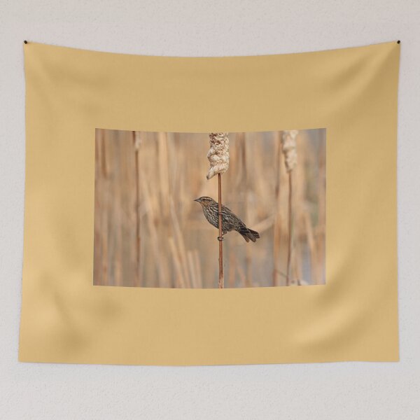 Item preview, Spring Female Red Winged Blackbird designed and sold by Debbie Oppermann.