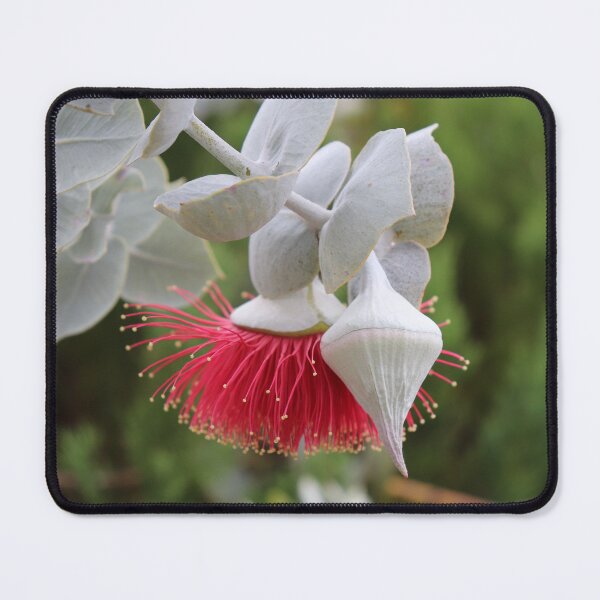 Item preview, Rose Mallee designed and sold by LeanneAllen.