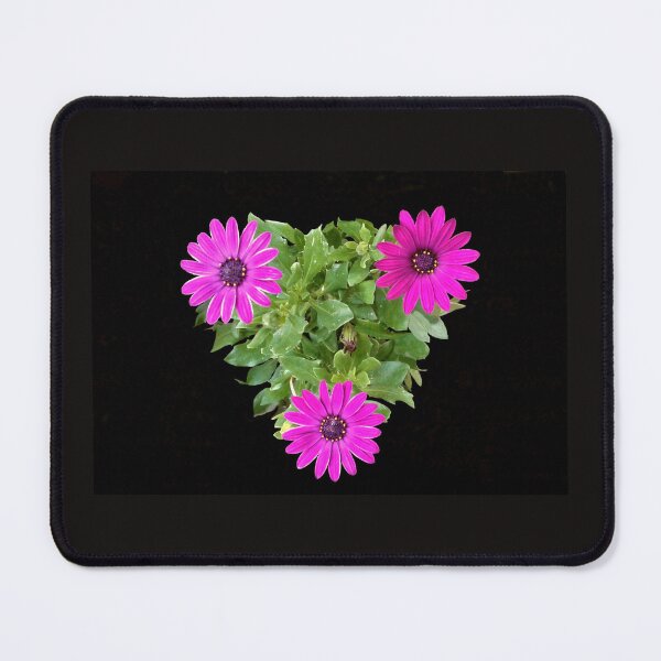Item preview, Pink Daisy Trio designed and sold by colouroz.