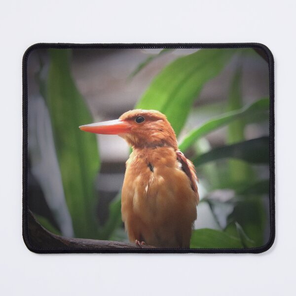 Item preview, Ruddy Kingfisher designed and sold by LeanneAllen.