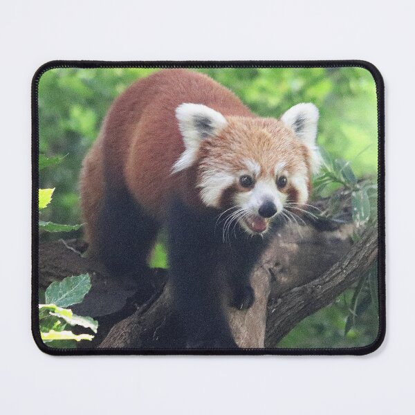Item preview, Nepalese Red Panda designed and sold by LeanneAllen.
