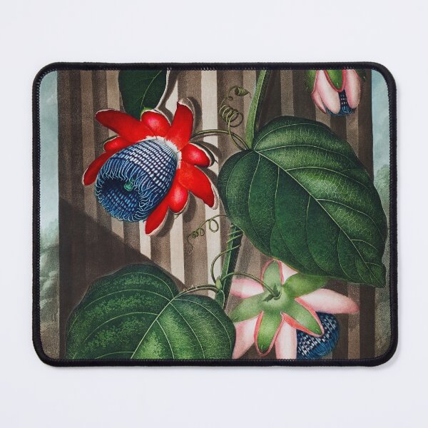 Item preview, Antique Winged Passion-Flower  designed and sold by jadeandjester.