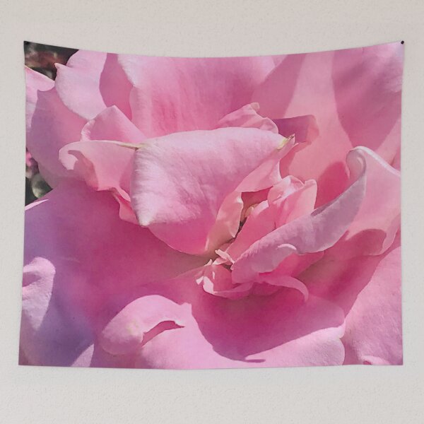Item preview, Pastel rosa rosa lujosa foto de arte designed and sold by DEC02.