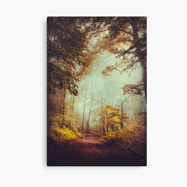silent forest Canvas Print