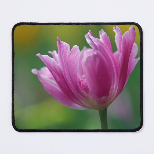 Item preview, Pink Tulip designed and sold by LeanneAllen.