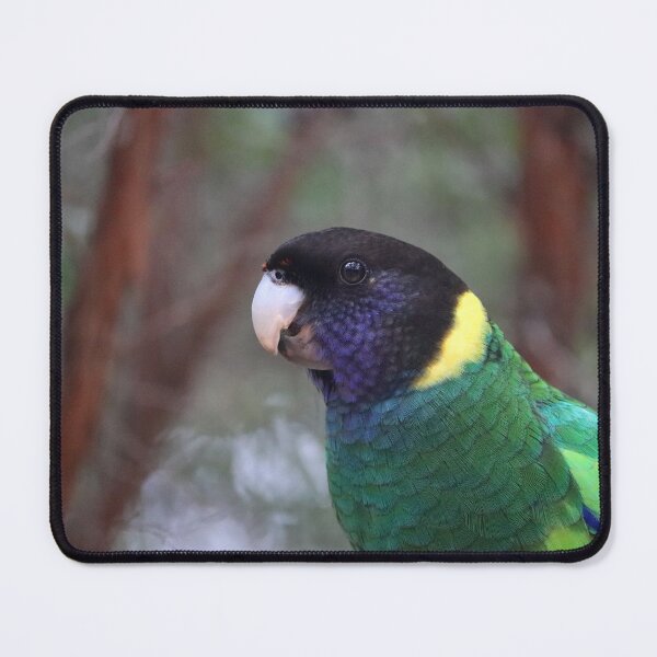 Item preview, Australian Ringneck Parrot designed and sold by LeanneAllen.