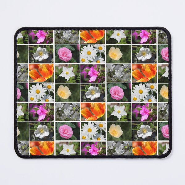 Item preview, Bloom Collection designed and sold by Autumn Seas Photography.