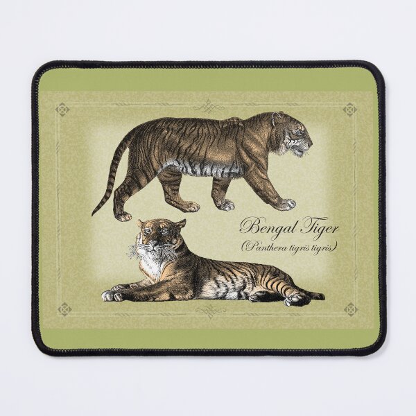 Item preview, Bengal Tigers designed and sold by Beesty.