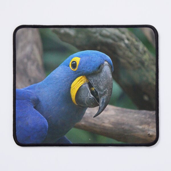 Item preview, Blue Hyacinth Macaw designed and sold by LeanneAllen.