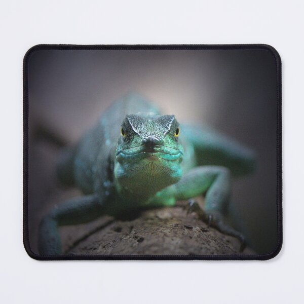 Item preview, Plumed Basilisk designed and sold by LeanneAllen.