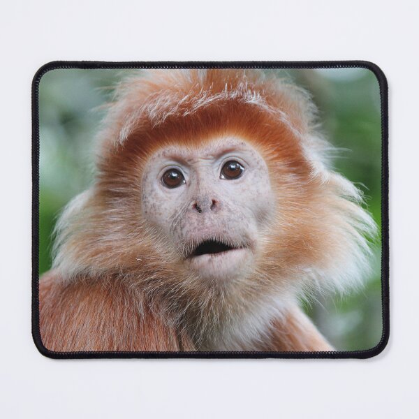Item preview, Shocked! designed and sold by LeanneAllen.
