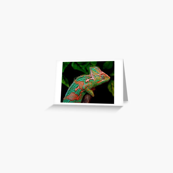 Multiple Personality Disorder Greeting Card