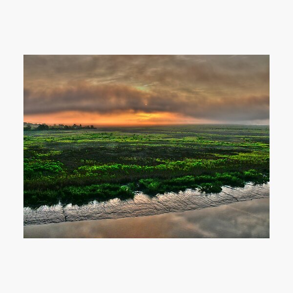 Item preview, A Textured Marsh at Daybreak designed and sold by John E Adams.