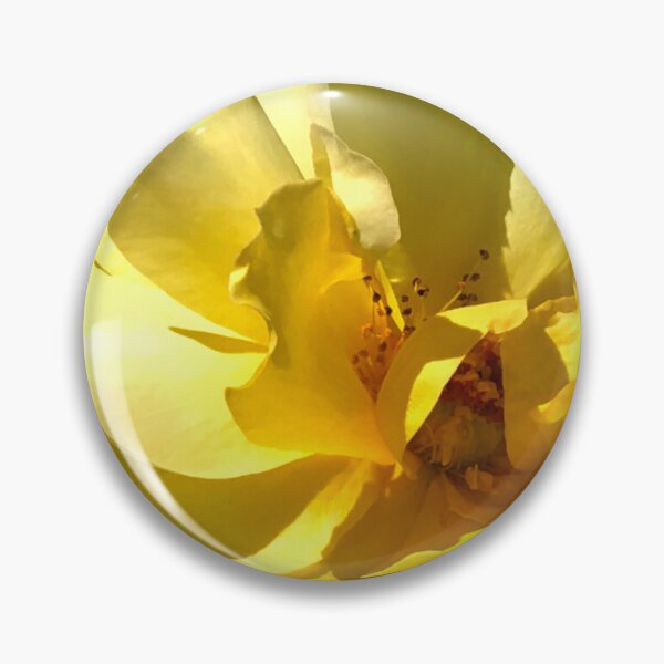 Item preview, Majestic Yellow Rose Floral Close-Up Art Photo designed and sold by DEC02.