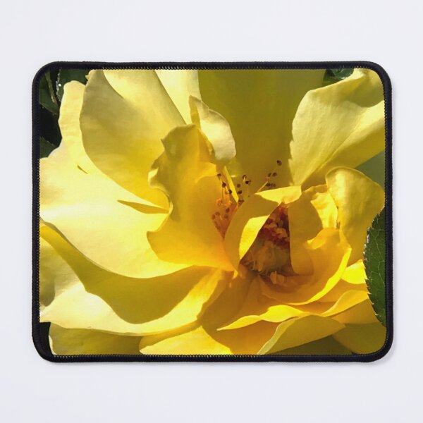 Item preview, Majestic Yellow Rose Floral Close-Up Art Photo designed and sold by DEC02.
