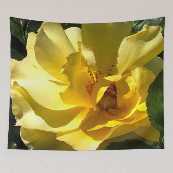 Item preview, Majestic Yellow Rose Floral Close-Up Art Photo designed and sold by DEC02.