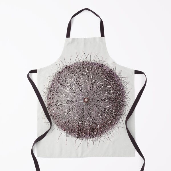 Item preview, Antique Sea Urchin by Albert I designed and sold by jadeandjester.