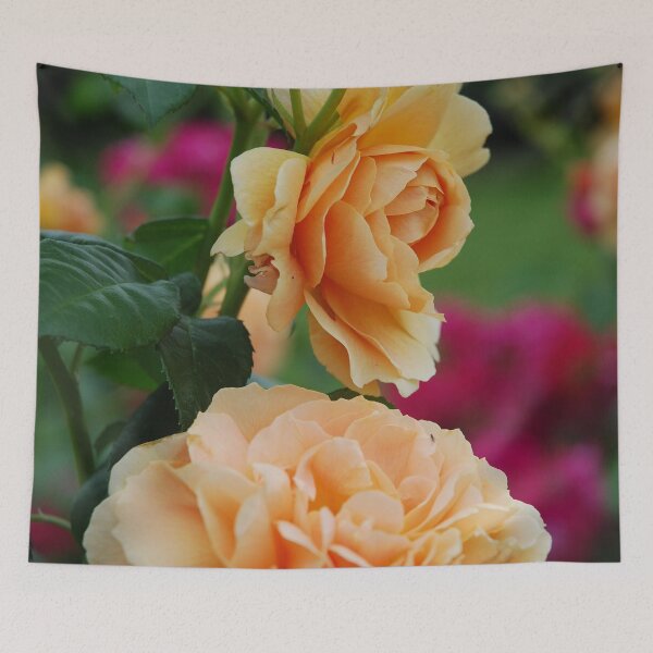 Item preview, Rose - shade of orange designed and sold by lizdomett.