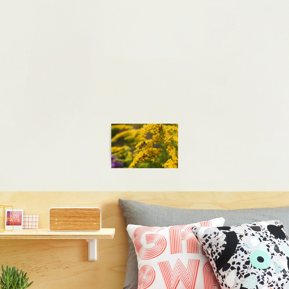 Item preview, Photographic Print designed and sold by markspics.