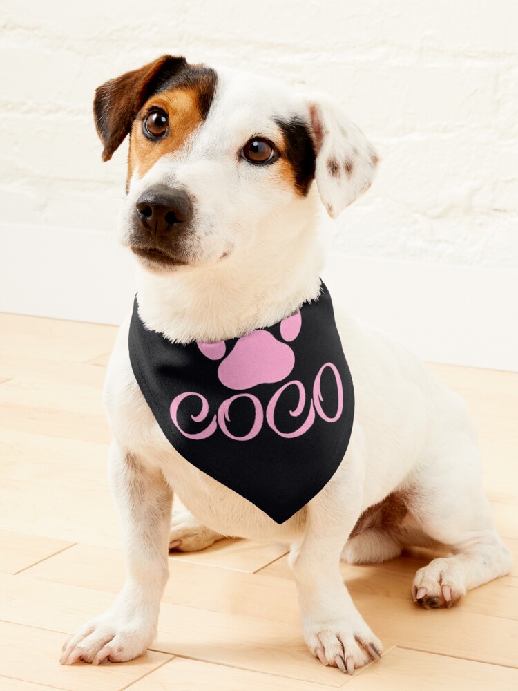 CoCo Designer Dog Hoodie