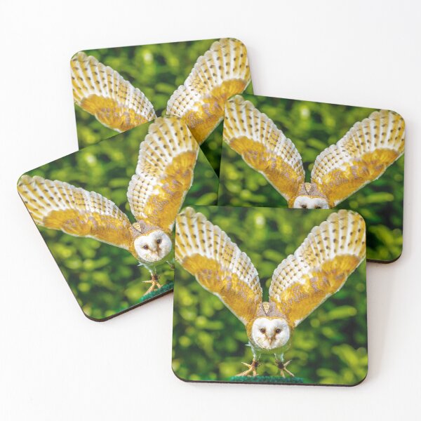 Item preview, Barn owl in flight designed and sold by Dalyndigital Photography.