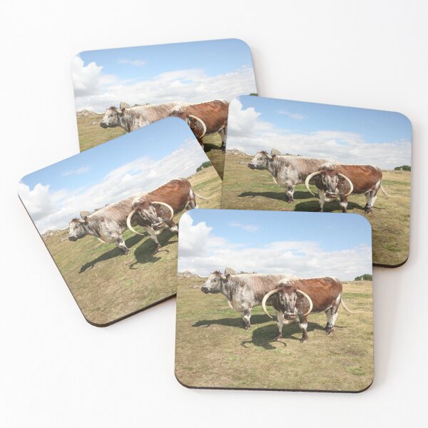 Item preview, english longhorn cattle designed and sold by markspics.