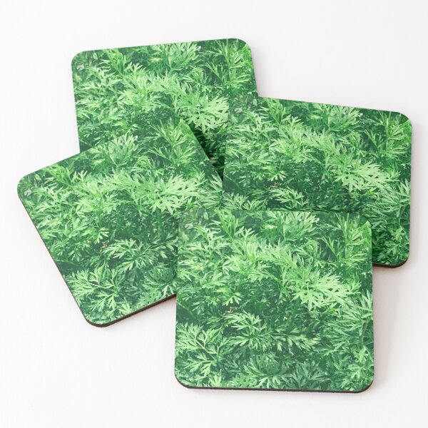 Item preview, Tops Of Carrot Leaves Organically Fresh     designed and sold by DEC02.