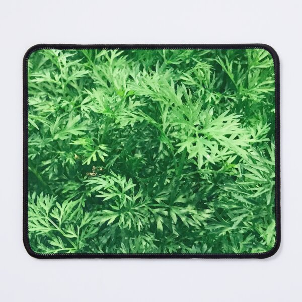 Item preview, Tops Of Carrot Leaves Organically Fresh     designed and sold by DEC02.