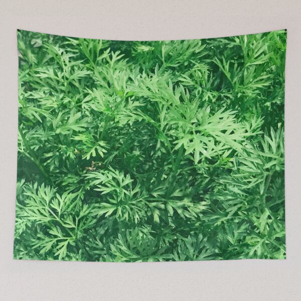 Item preview, Tops Of Carrot Leaves Organically Fresh     designed and sold by DEC02.