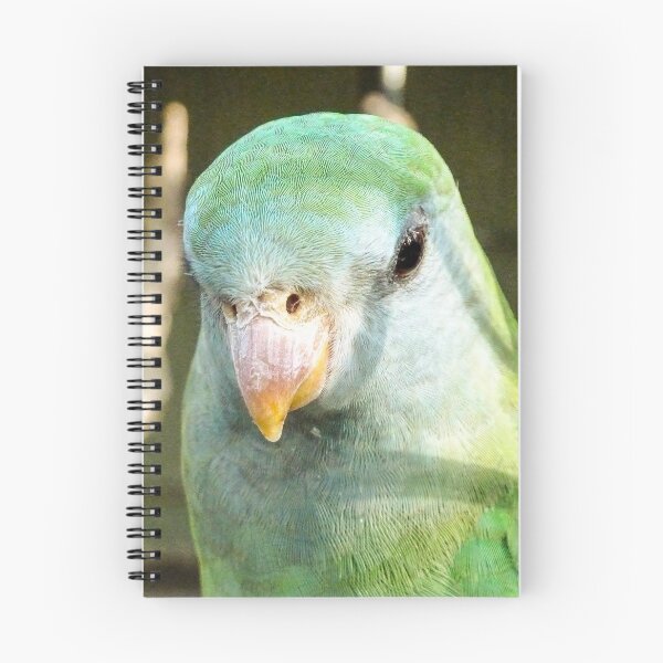 Item preview, Cheeky chappy! designed and sold by JBrastedArt.
