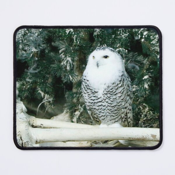 Item preview, Snowy Owl designed and sold by jwwallace.