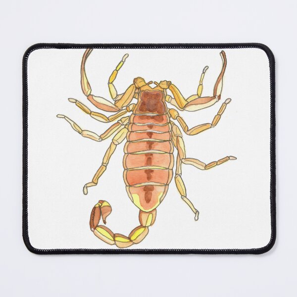 Item preview, Scorpion designed and sold by Stephanie Wilker.