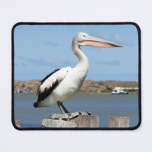 Item preview, Pelican Viewpoint designed and sold by jwwallace.