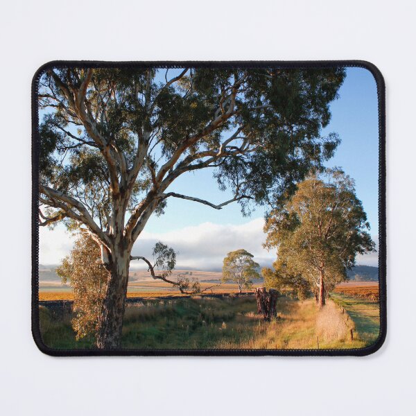 Item preview, Barossa Valley Autumn Sunshine designed and sold by jwwallace.