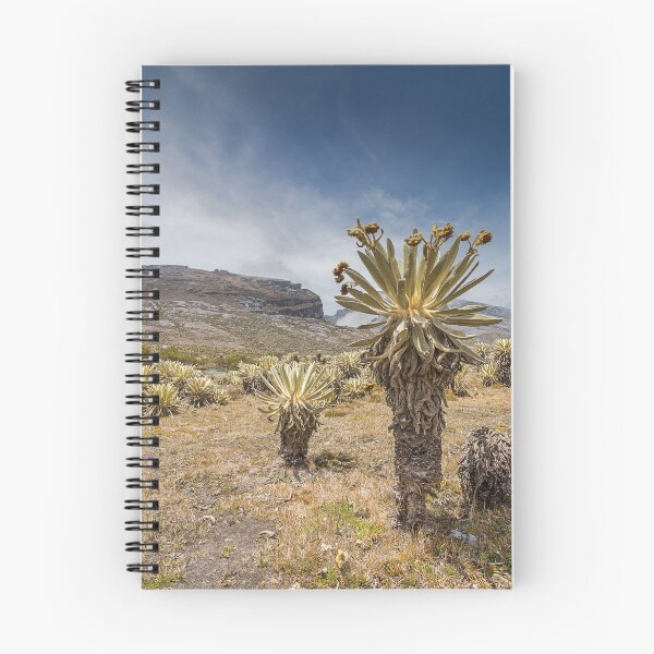 Item preview, frailejones valley designed and sold by Rafael Serrano Esguerra.