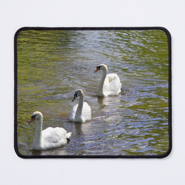 Item preview, Swans on Parade designed and sold by jwwallace.