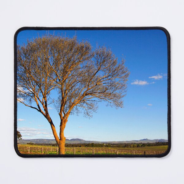 Item preview, Springtime sunshine in the Barossa Valley designed and sold by jwwallace.