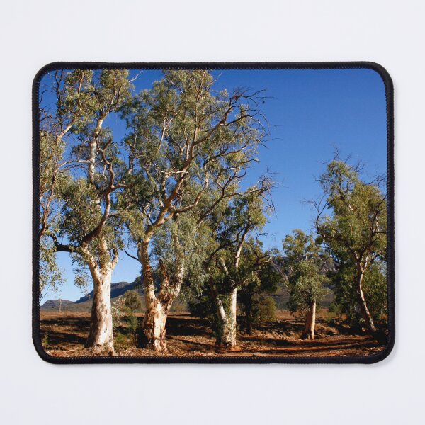 Item preview, Gum trees in Outback Australia designed and sold by jwwallace.