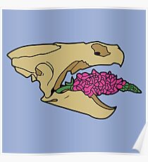 Snapskull Poster