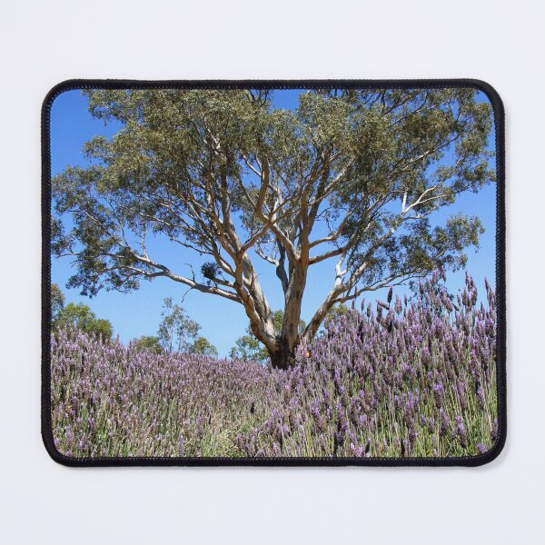 Item preview, Gum tree among the lavender designed and sold by jwwallace.